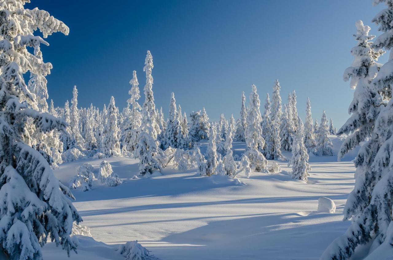 Blefjell Lodge Lampeland Zewnętrze zdjęcie
