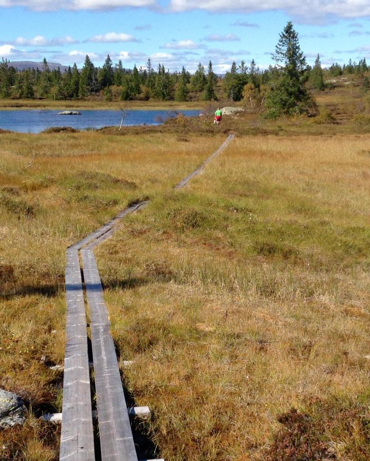 Blefjell Lodge Lampeland Zewnętrze zdjęcie
