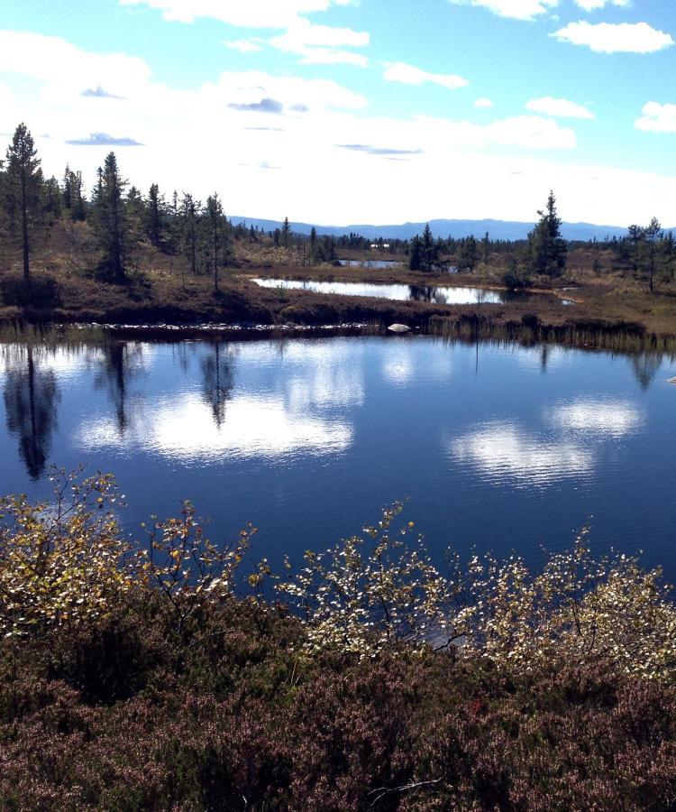 Blefjell Lodge Lampeland Zewnętrze zdjęcie